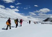 开运体育入口-亚太杯篮球赛蓄势待发，日本队迎来挑战之旅的简单介绍