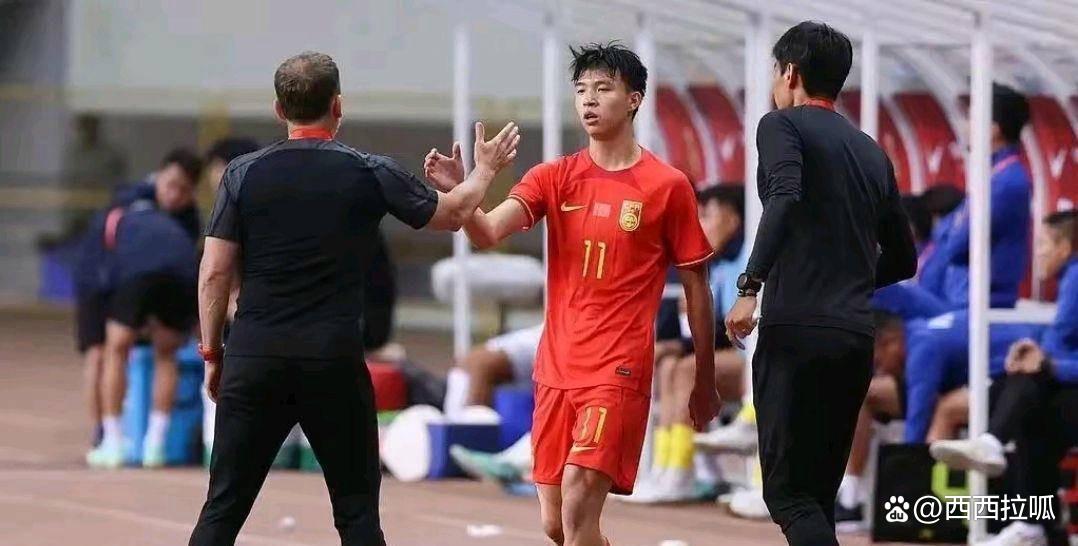 深圳新鹏城官宣新任主帅前国足西班牙助教正式接手的简单介绍